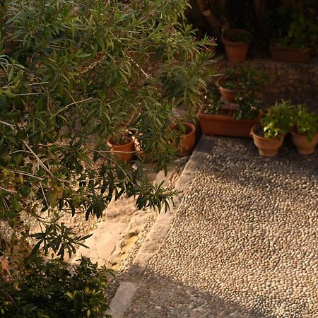 Vila Casa Artia Chania  Exteriér fotografie